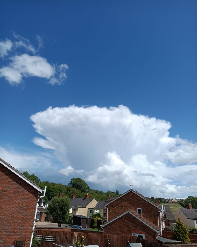 Large anvil-shaped cumulonimbus cloud towering above a residential neighborhood, with a broad flattened cloud top, bright white cloud towers, and deep blue sky overhead.