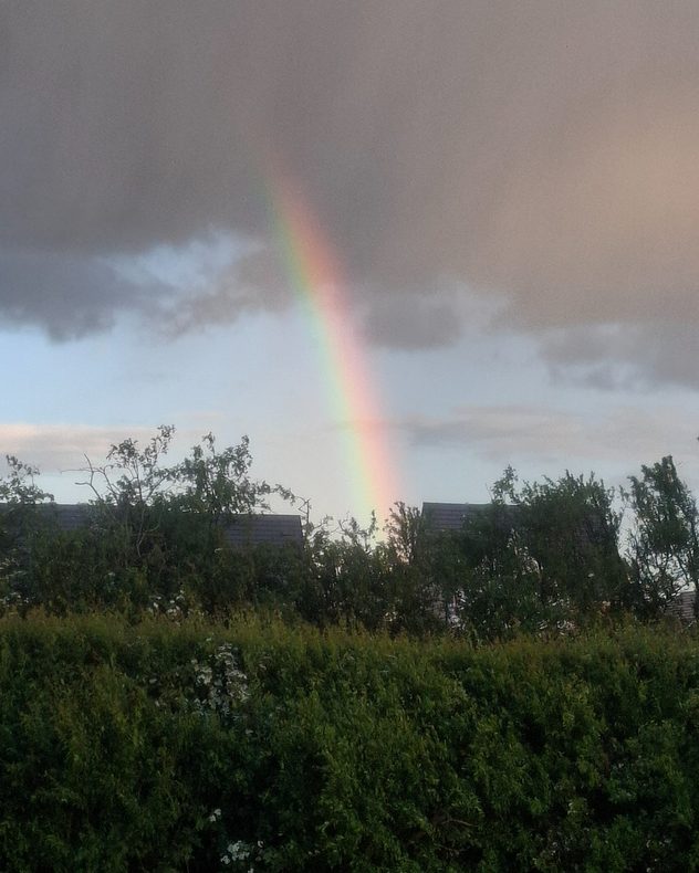 Bright rainbow descending beneath dark storm clouds above trees and rooftops, with soft evening light illuminating the sky after rainfall.