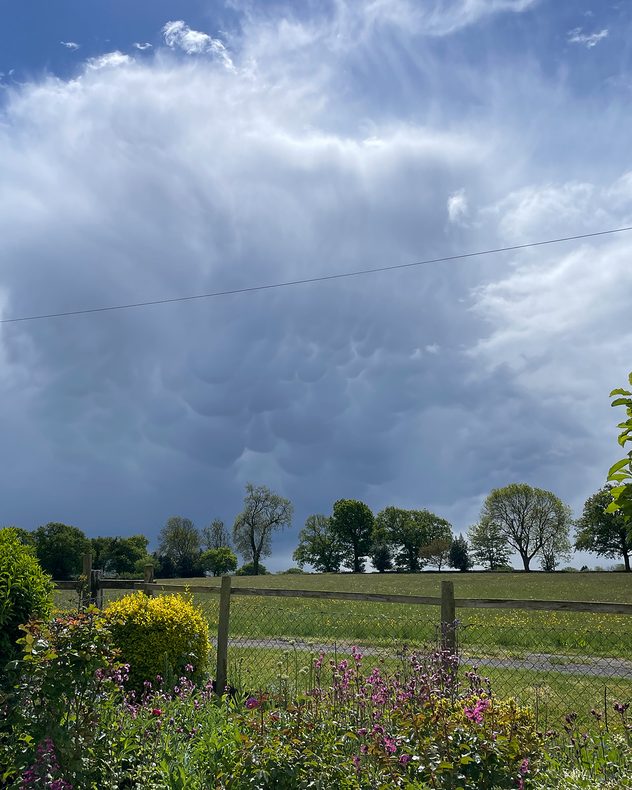 Dramatic mammatus clouds hanging beneath a towering storm cloud above a green countryside field with trees, flowers, and a wooden fence in the foreground.