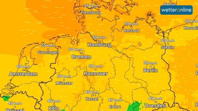 WindRadar zeigt für Mittwoch im Norden viel Wind