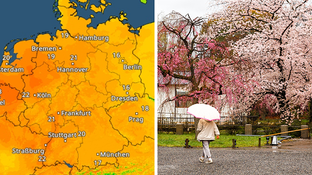 TemperaturRadar zeigt Wärme am Samstag - Frau geht mit Regenschirm an blühenden Bäumen vorbei