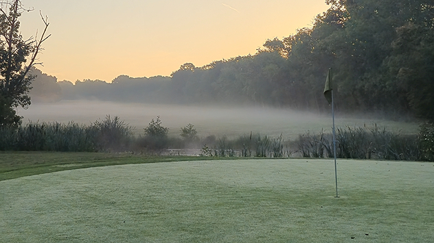 Misty greens at a golf course lined by thick trees.