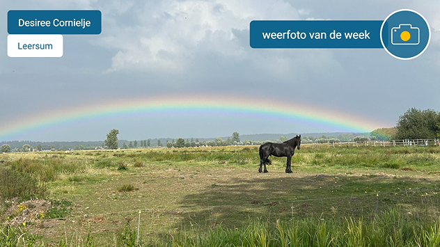 Een foto van de heuvelrug bij Leersum met uitzicht op een regenboog en een paard in een weiland.