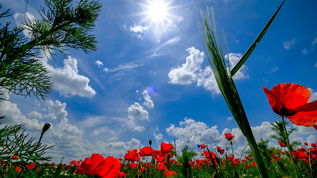 Anders sieht es in Hohenlochau in Sachsen-Anhalt aus: Keine Schauer und Gewitter sind unterwegs. 