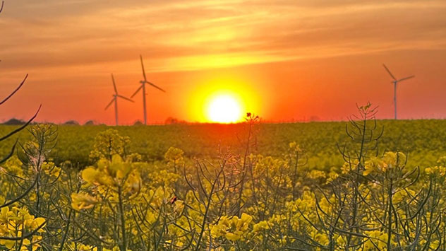 Der Wonnemonat Mai zeigt sich anfangs noch von seiner ruhigen Seite. Bei Wismar blüht ein Rapsfeld. 