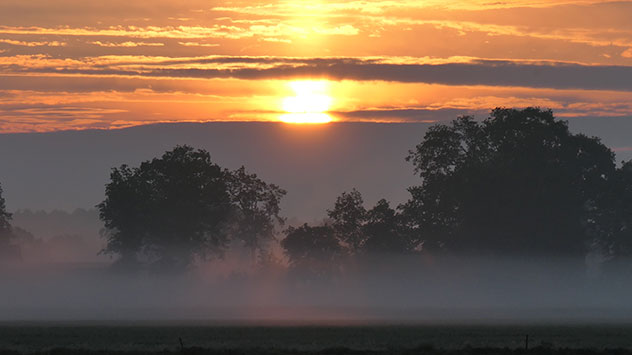 Morgens entsteht häufig Bodennebel auf Wiesen.