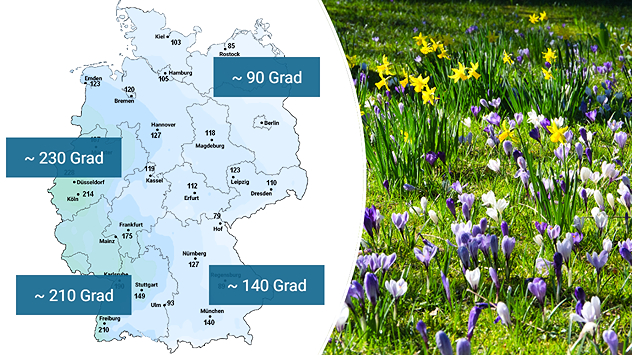 Geteilte Grafik: links Karte der Grünlandtemperatursumme mit regionalen Werten von rund 90 bis über 230 Grad, rechts blühende Krokusse und Narzissen als Frühlingszeichen.