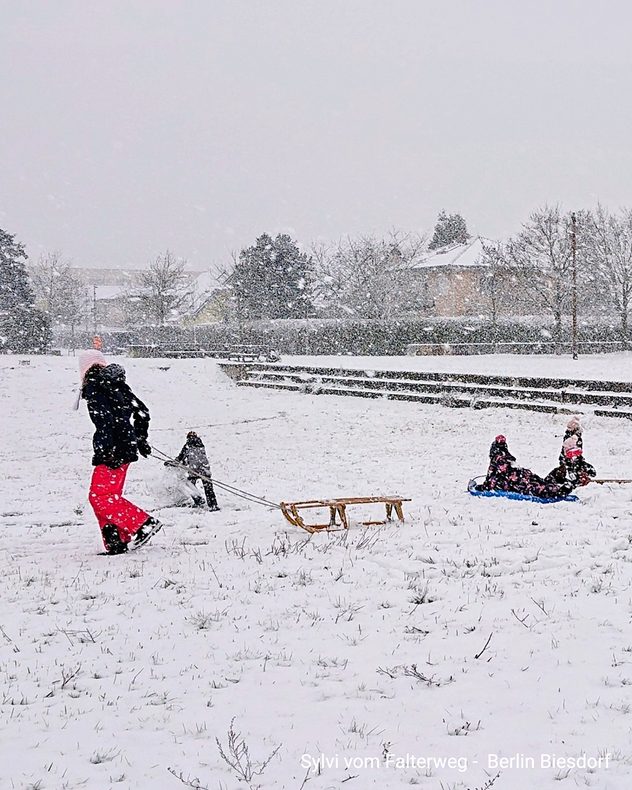 À Berlin, des enfants jouent dans la neige sur une prairie enneigée. Un enfant tire une luge en bois, d'autres font de la luge. Des immeubles et des arbres se dressent en arrière-plan.