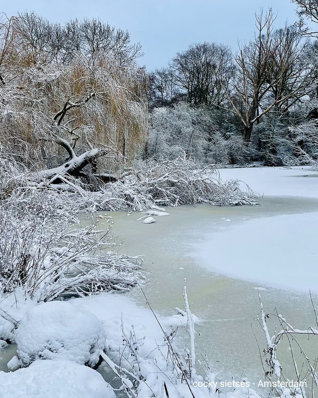 Plan d'eau gelé recouvert de neige à Amsterdam.