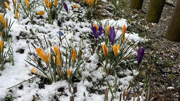 © Patrick We via WetterMelder Deutschland Lüdenscheid Schnee