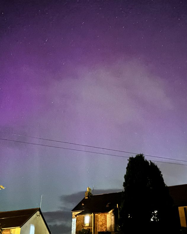 Purple and pink aurora borealis glows across a star-filled night sky above residential rooftops, a tall silhouetted tree and power lines.