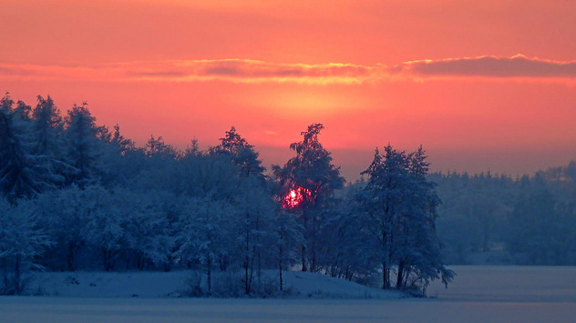Der Dezember 2010 in Bildern