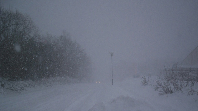 Der Dezember 2010 in Bildern