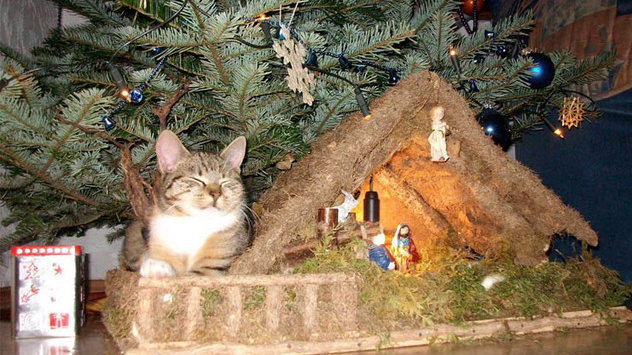 Der Dezember 2010 in Bildern