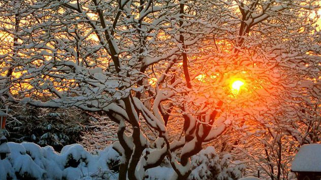 Der Dezember 2010 in Bildern