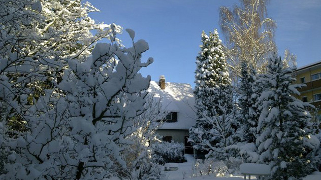 Der Dezember 2010 in Bildern