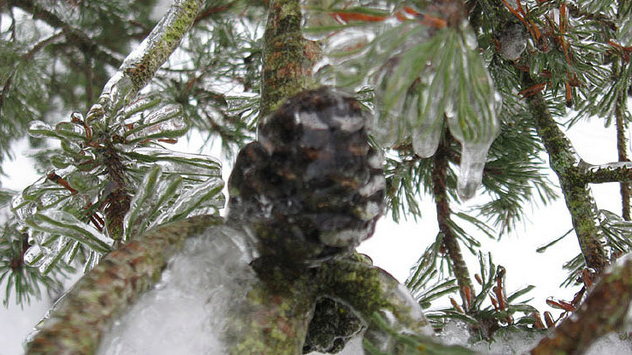 Der Dezember 2010 in Bildern