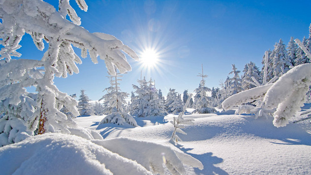 Der Dezember 2010 in Bildern