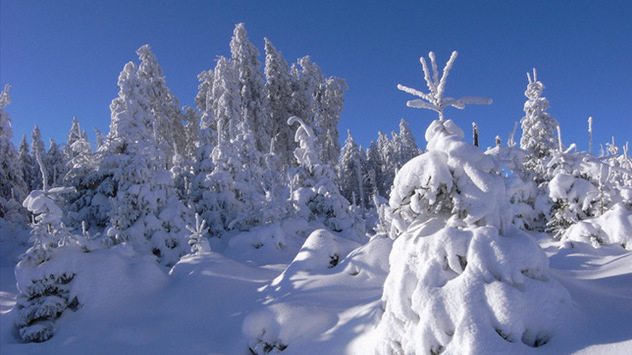 Der Dezember 2010 in Bildern