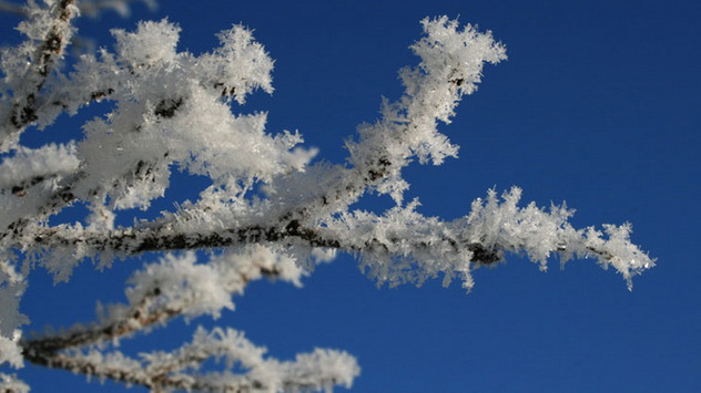 Der Dezember 2010 in Bildern