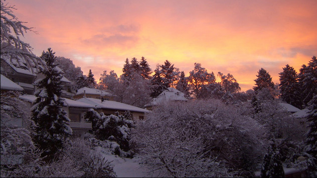 Der Dezember 2010 in Bildern