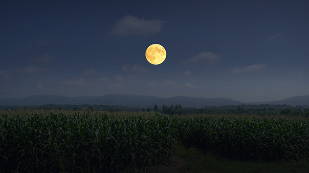 1ef43615-6867-67ca-b018-7b040c71b4ae ts