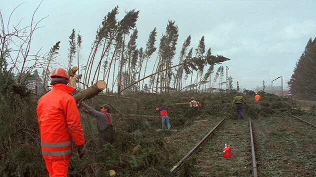 Umgestürzte Bäume nach Sturm Wiebke