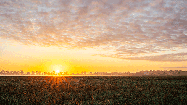 © Dominik Sen Sonnenaufgang  in Teltow