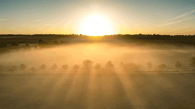 © Torsten Brehme Aufgehende Sonne taucht Nebelschwaden in gleißendes Licht