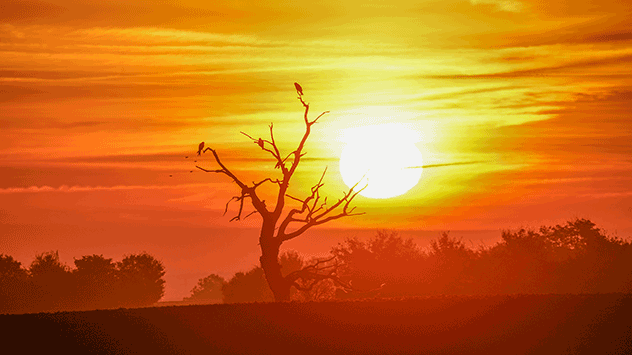 © Torsten Brehme Sonnenaufgang in Harzgerode
