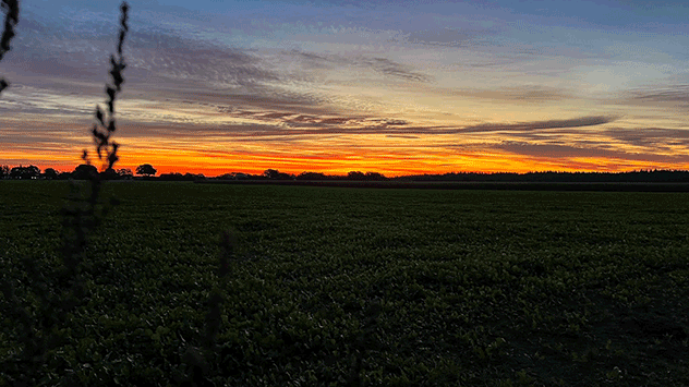 © Tetsuo Shima via WetterMelder Deutschland Sonnenaufgang im Ammerland in Niedersachsen
