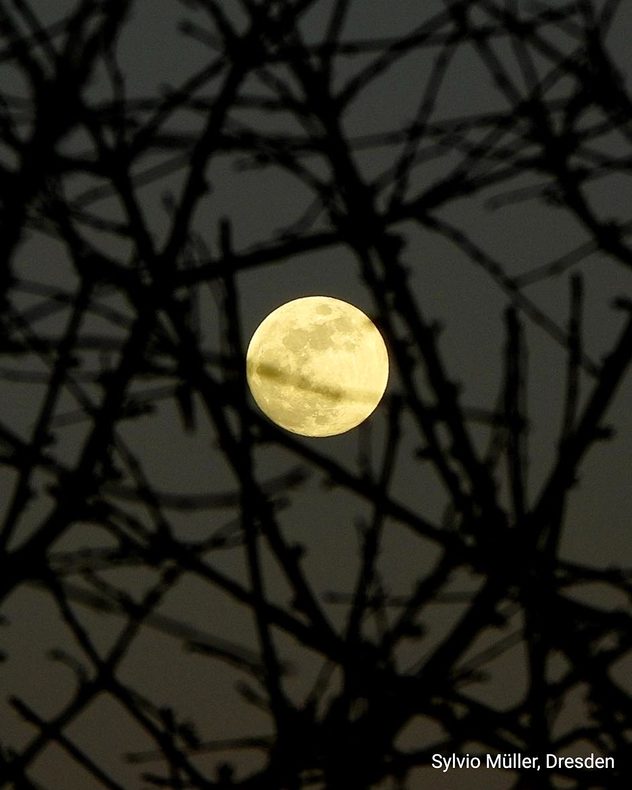 Der Frühlings-Vollmond im März wird auch "Lenzmond" genannt. In Teilen Nordamerikas heißt er "Wurmmond".