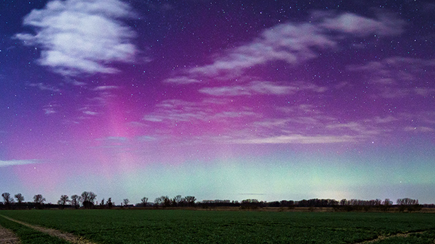 Im Havelland gibt es sogar violette oder magenta Farbtöne zu bewundern.