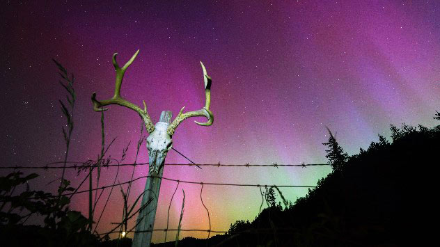 Elkton, Oregon, USA: The aurora borealis, 