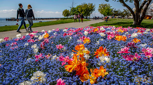 Rückblick 2022 Frühjahr