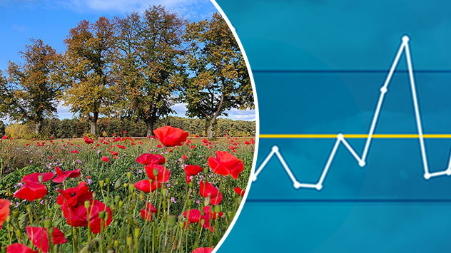 1ef4187a-562d-6126-bb77-57bdacdf53d3 - © Hens Ernst t