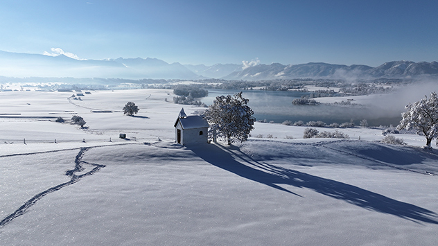 Der Dezember in Bildern