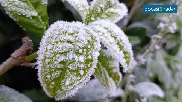 Záběr na jinovatku.