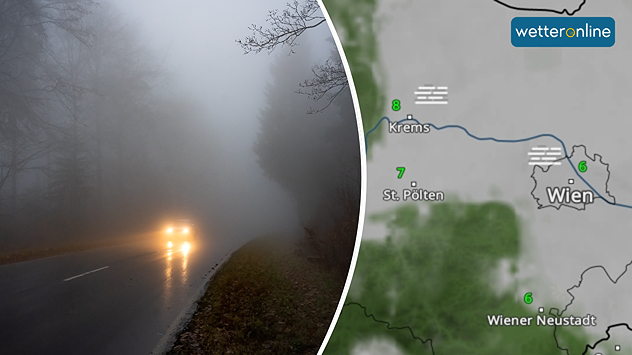 Links ist das Bild eines Autos auf einer Waldstrasse bei Nebel zu sehen. Rechts zeigt eine Wetterkarte Nebel rund um Wien.