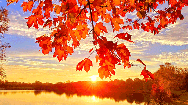 © Marion Holt via WetterMelder Deutschland Rotes Herbstlaub im Licht der untergehenden Sonne über einem Badesee in Uplengen in Ostfriesland