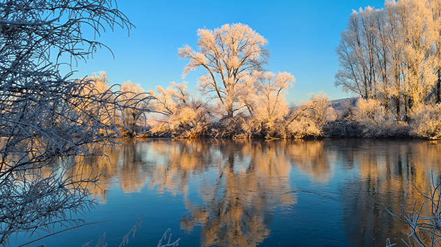Reif Wintermorgen