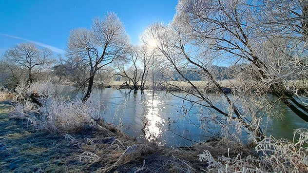 Reif Wintermorgen