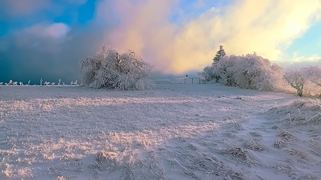 Reif Wintermorgen