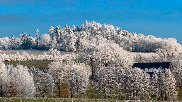 Reif Wintermorgen