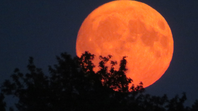 © Kamilla Klebermass Heumond in der Lüneburger Heide