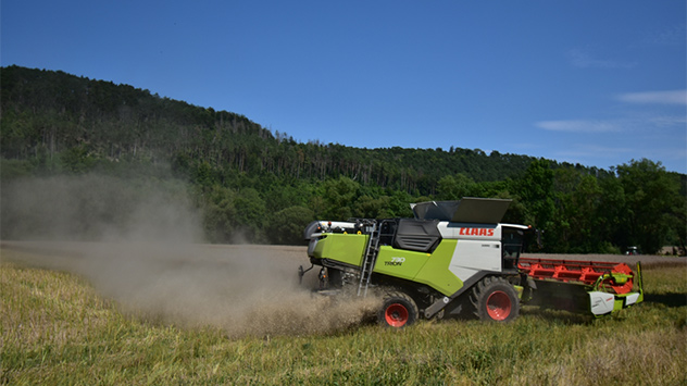 © Siegfried Spitzenberg Heuwetter