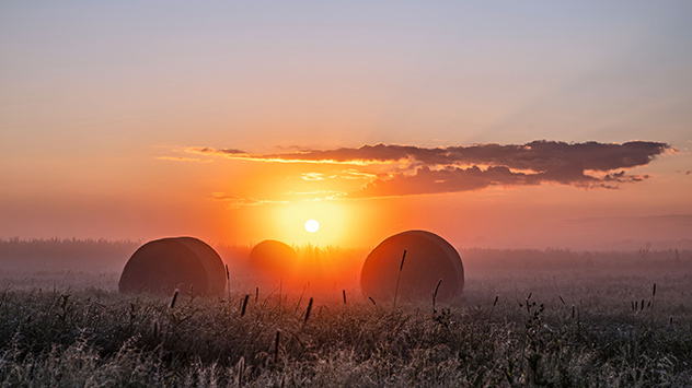 © Jens Ernst Heuballen im morgendlichen Nebel und vor aufgehender Sonne