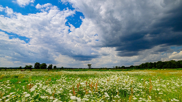 © Gabriele Klein Schauerwolken über einem Feld in Dornburg