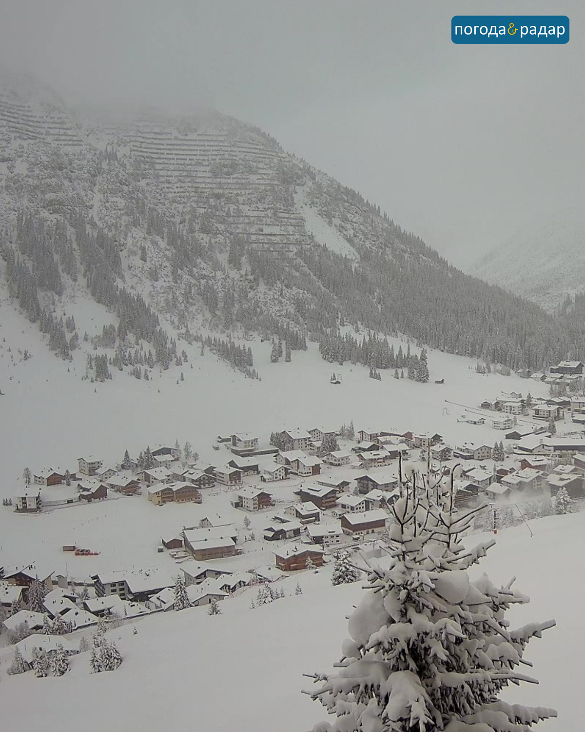 Засніжене альпійське селище з хмарними горами та засніженою ялиною на передньому плані.