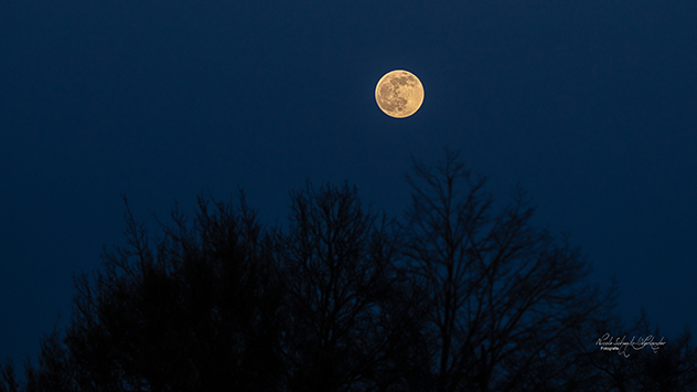Vollmond über Breddenberg